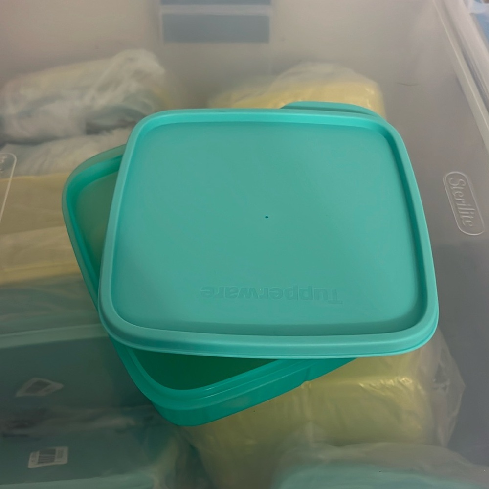 New from Tupperware Perfect lunchbox food storage container